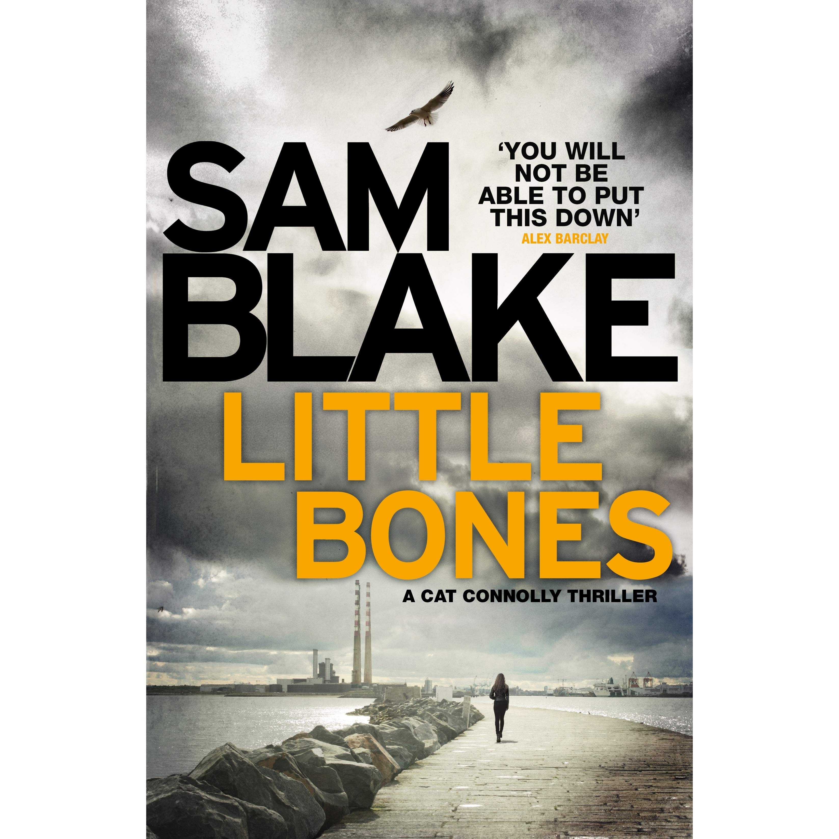 Little Bones by Sam Blake