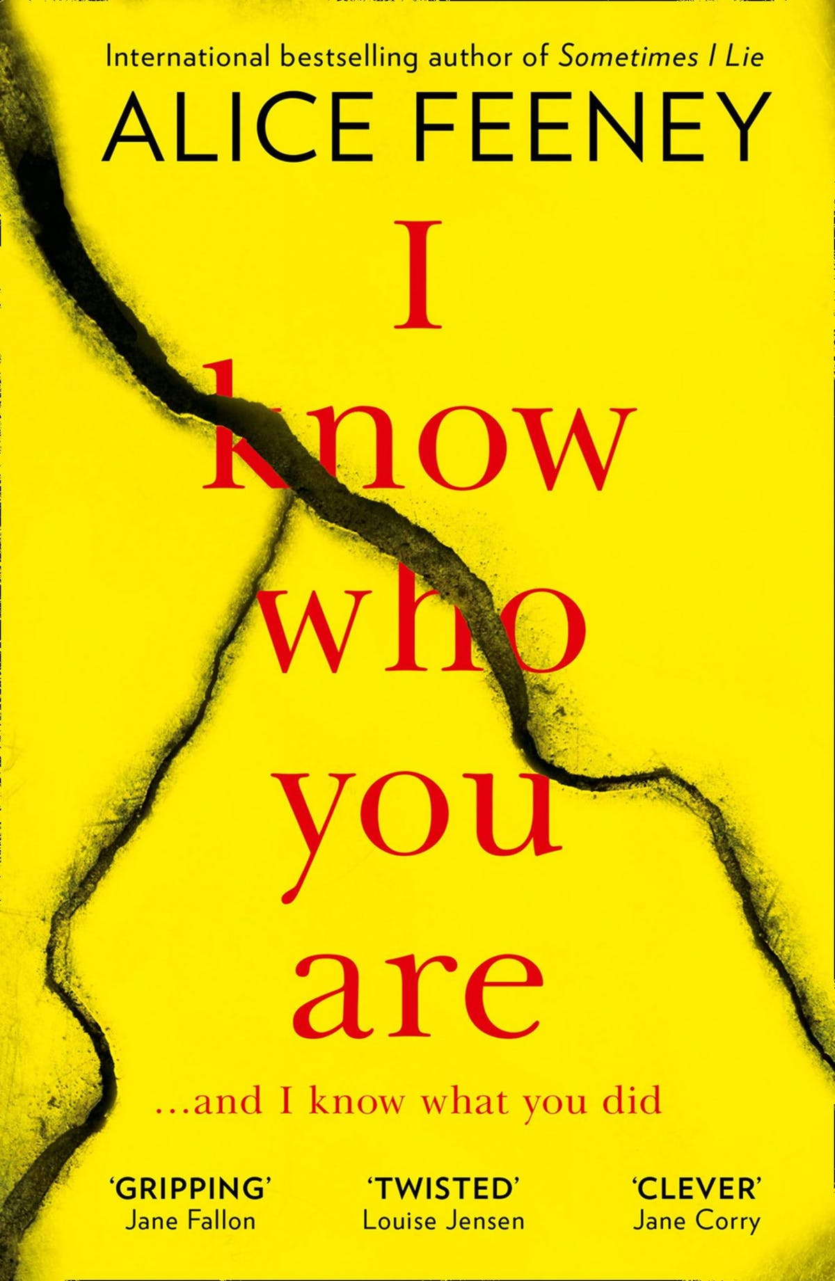iknow who you are by alice feeney
